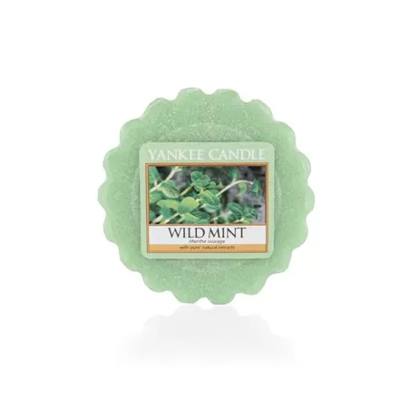 Wild Mint, Tart da fondere - Yankee Candle