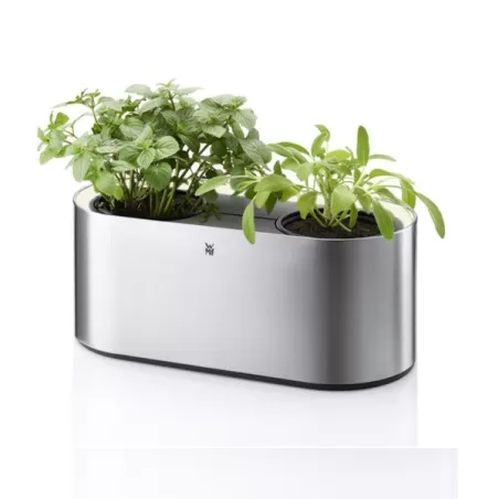 Portavasi Ambient Herbs home - Wmf