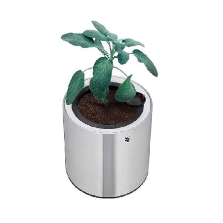 Portavaso singolo Ambient Herbs home - Wmf