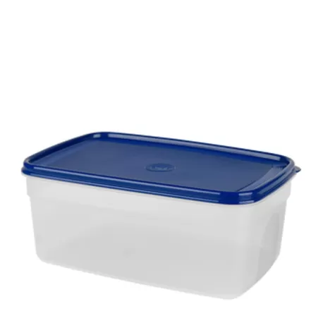 Superline, Contenitore salvafreschezza rettangolare 4,5 lt. Blu - Emsa