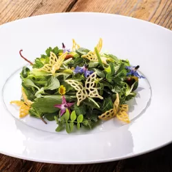 Stampo in silicone Mariposa S HO.RE.CA. Eureka! - Pavoni 2