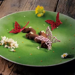 Stampo in silicone Mariposa L HO.RE.CA. Eureka! - Pavoni 2