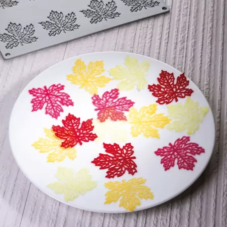 Stampo in silicone Maple HO.RE.CA. Eureka! - Pavoni