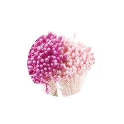 Pistilli per fiori viola perlato e rosa perlato Pezzi 288 - Decora