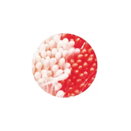 Pistilli per fiori bianco perla e rosso Pezzi 288 - Decora