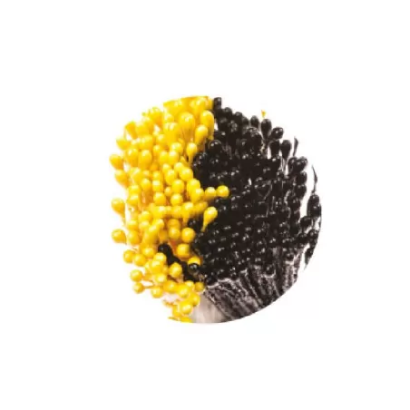 Pistilli per fiori giallo perlato e nero perlato Pezzi 288 - Decora
