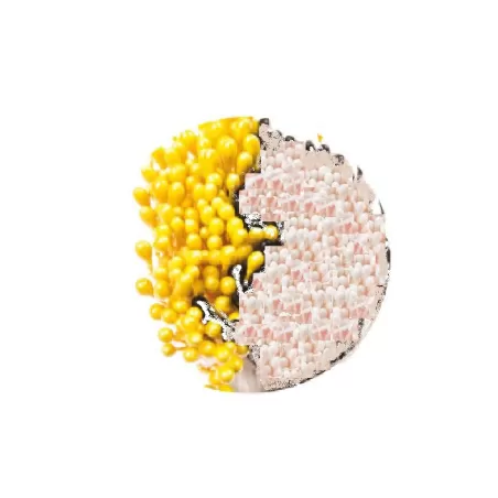 Pistilli per fiori bianco perla e gialli Pezzi 288 - Decora