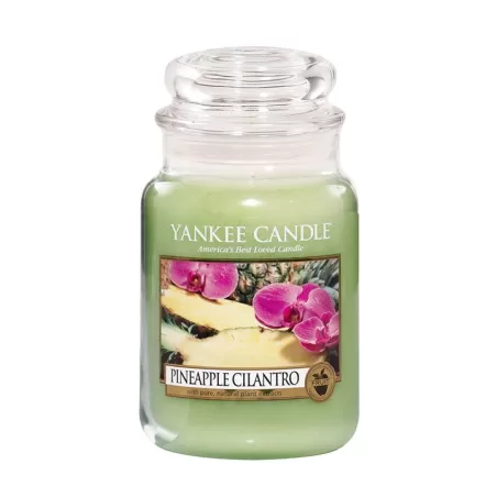 Pineapple Cilantro   Giara Grande - Yankee Candle