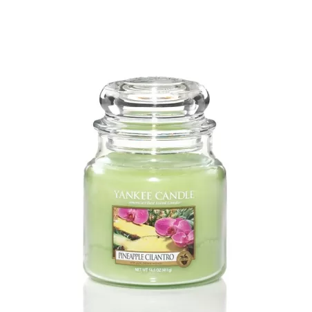 Pineapple Cilantro   Giara Media - Yankee Candle