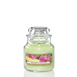 Pineapple Cilantro   Giara Piccola  - Yankee Candle