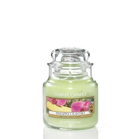 Pineapple Cilantro   Giara Piccola  - Yankee Candle
