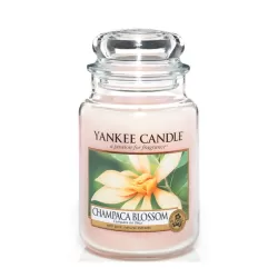 Champaca Blossom Giara Grande - Yankee Candle