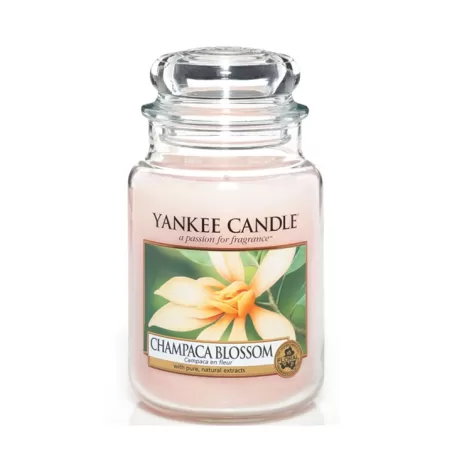 Champaca Blossom Giara Grande - Yankee Candle