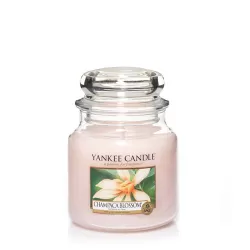 Champaca Blossom Giara Media - Yankee Candle