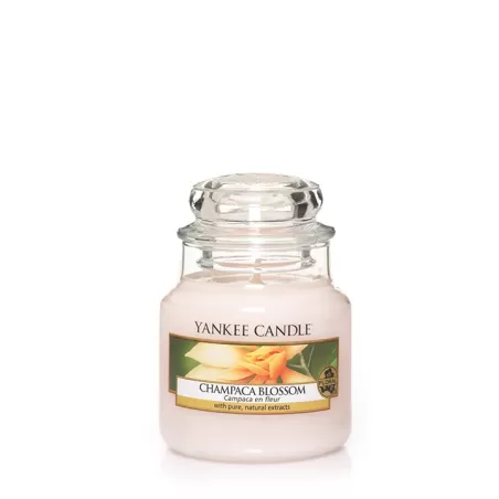Champaca Blossom Giara Piccola  - Yankee Candle