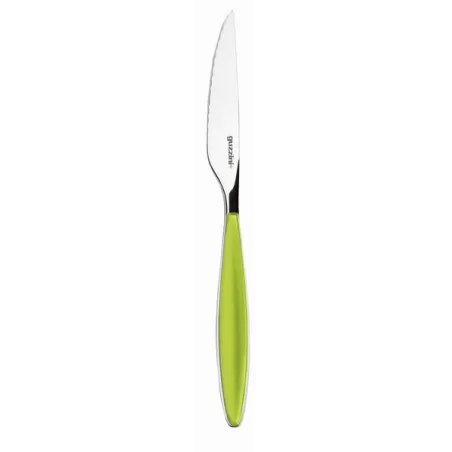 Coltello bistecca 'feeling' verde mela - Guzzini