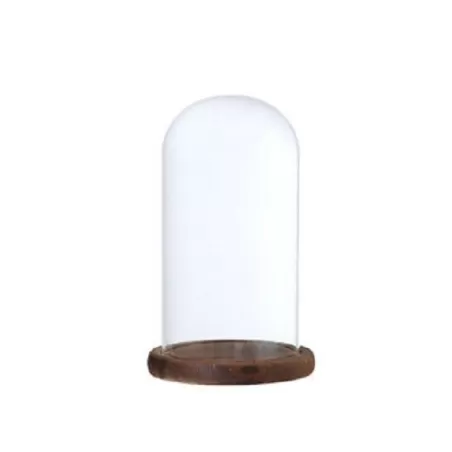 Cupola per affumicatura a freddo con campana media