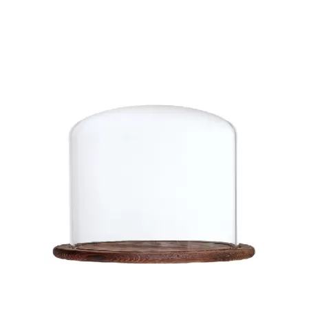 Cupola per affumicatura a freddo con campana grande