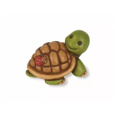 Tartaruga media - Thun