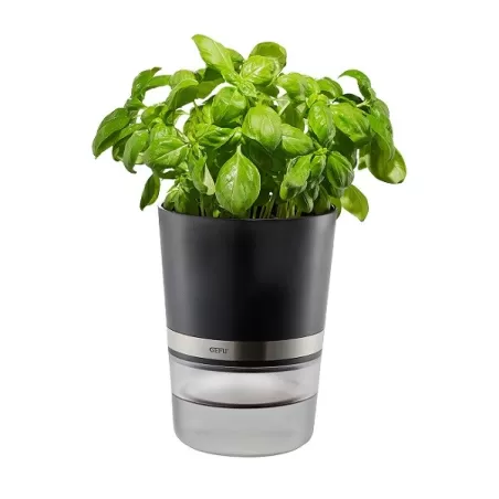 Vaso per le erbe botanico - Gefu