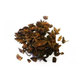 Anice stellato - Botanica