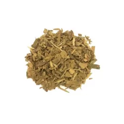 Cannella ceylon regiuna - Botanica