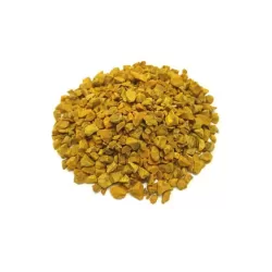 Curcuma rizoma - Botanica