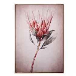 Quadro Cm. 70X100 Con Cornice - L'oca Nera