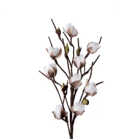 Fiore Del Cotone - L'oca Nera