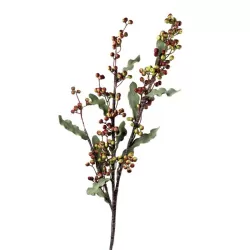 Ligustro - L'oca Nera