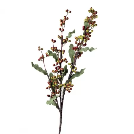 Ligustro - L'oca Nera