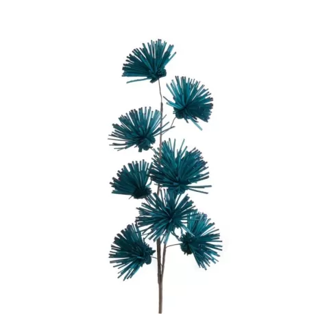 Echium Avio - L'oca Nera