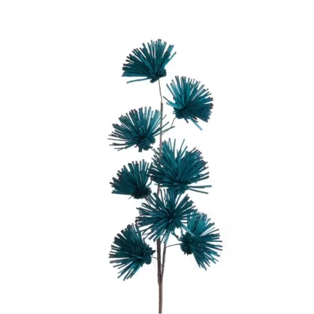 Echium Avio - L'oca Nera