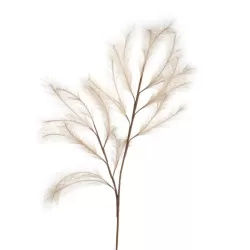 Pampas Naturale - L'oca Nera