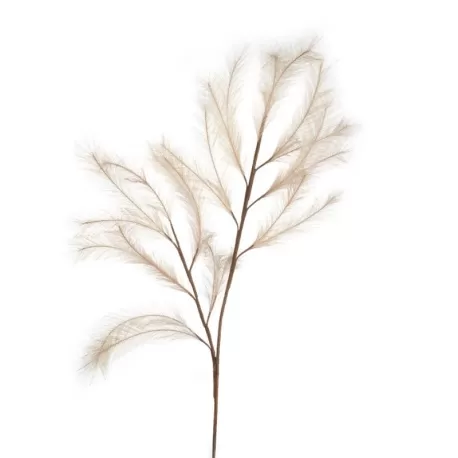 Pampas Naturale - L'oca Nera