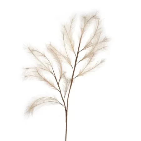 Pampas Naturale - L'oca Nera