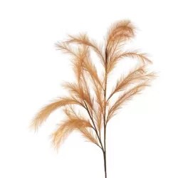 Pampas Bronzo - L'oca Nera