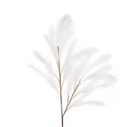 Pampas Bianco - L'oca Nera