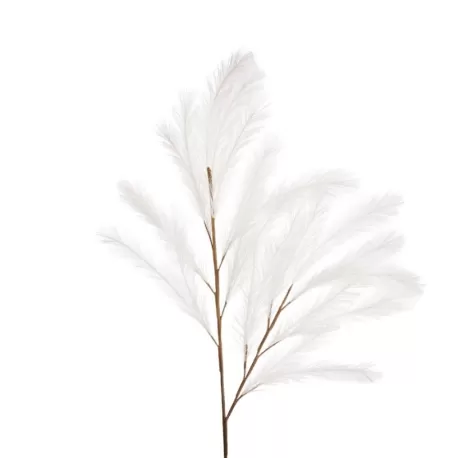 Pampas Bianco - L'oca Nera