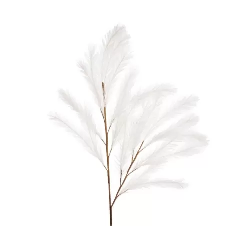 Pampas Bianco - L'oca Nera