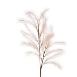 Pampas Rosa - L'oca Nera