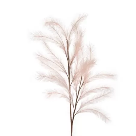 Pampas Rosa - L'oca Nera