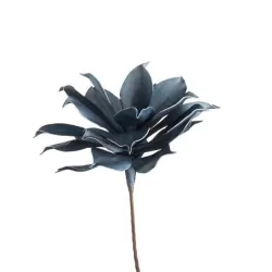 Magnolia Gigante Avio - L'oca Nera