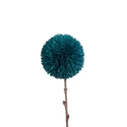 Allium Avio - L'oca Nera