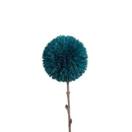 Allium Avio - L'oca Nera