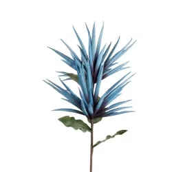 Indicum Avio - L'oca Nera