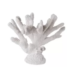 Corallo Grande - L'oca Nera