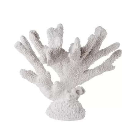 Corallo Grande - L'oca Nera