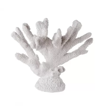 Corallo Grande - L'oca Nera