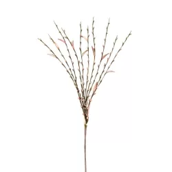 Salix Rosa - L'oca Nera